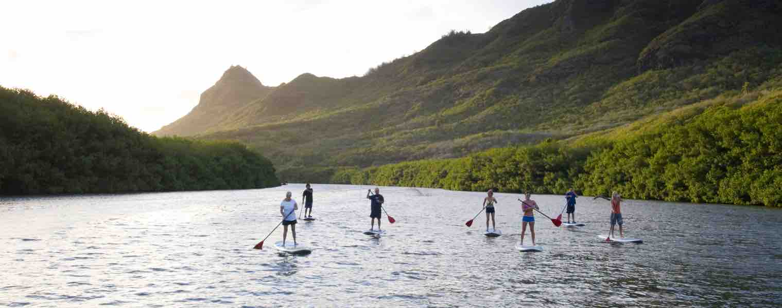 Hawaiian Eye Tours 2023 Banner